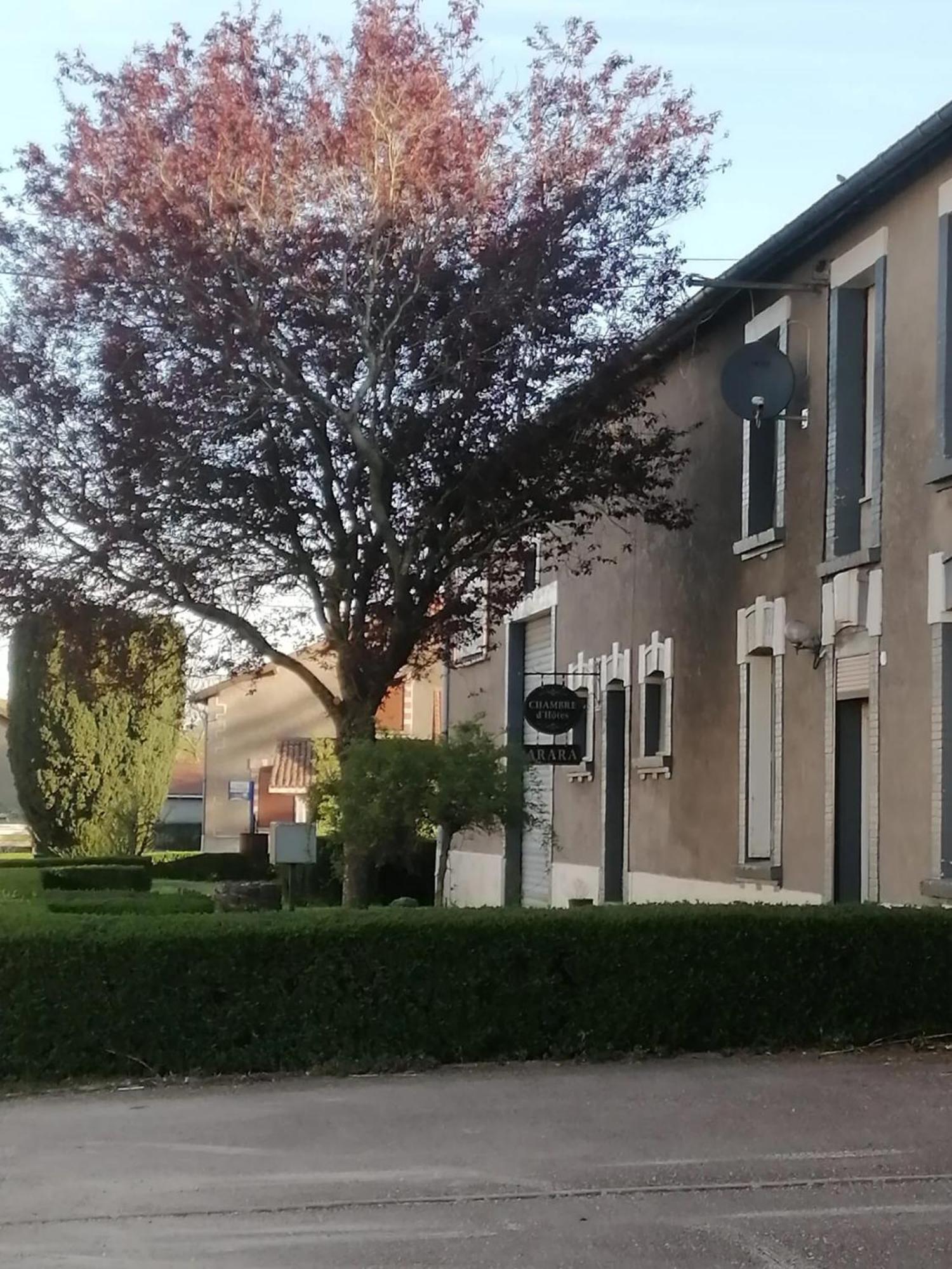 Bed and Breakfast Arara Montfaucon-d'Argonne Esterno foto